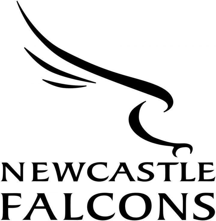 newcastle falcons logo newcastle falcons logo